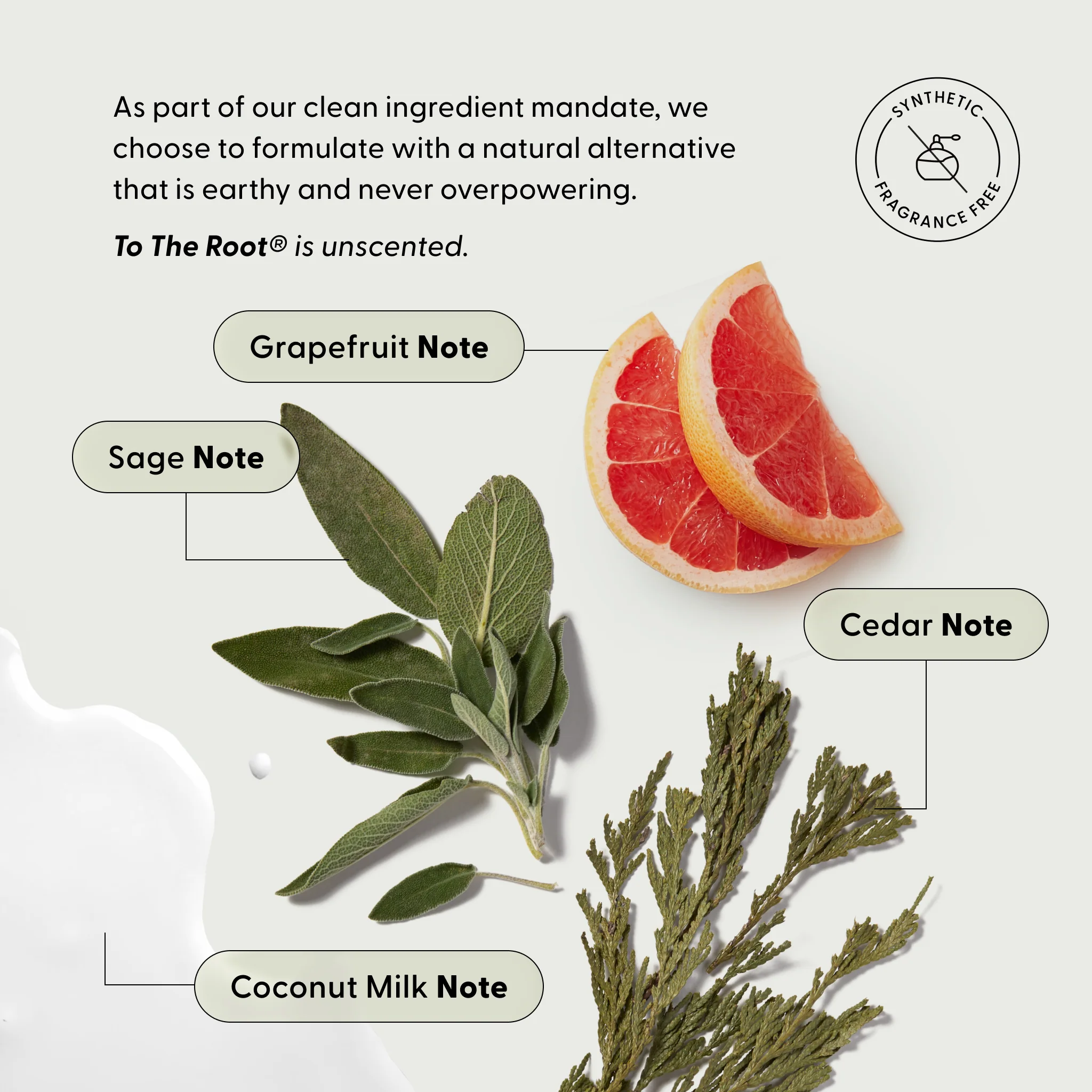 The Essentials Kit - Image 13