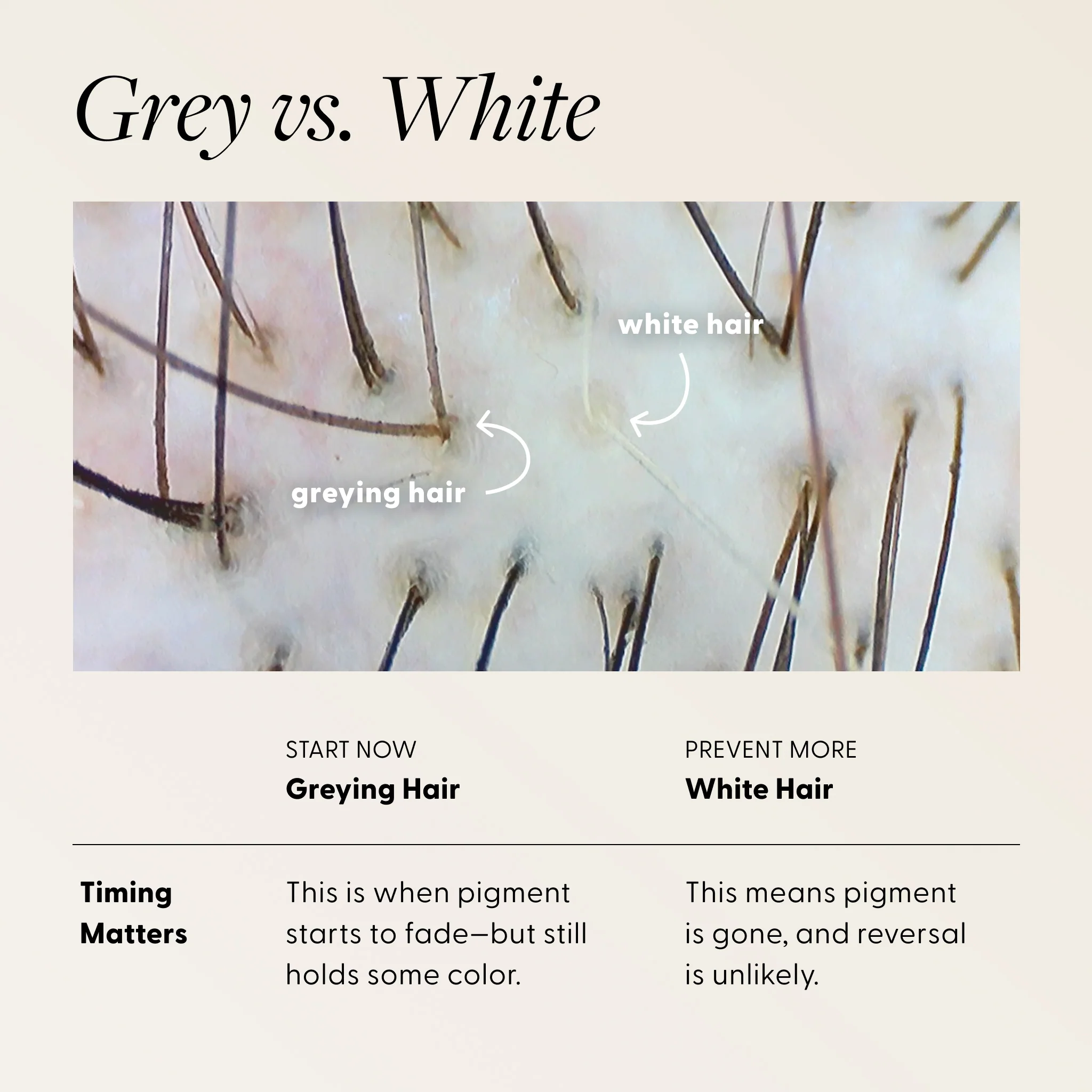 The Essentials Kit - Image 14
